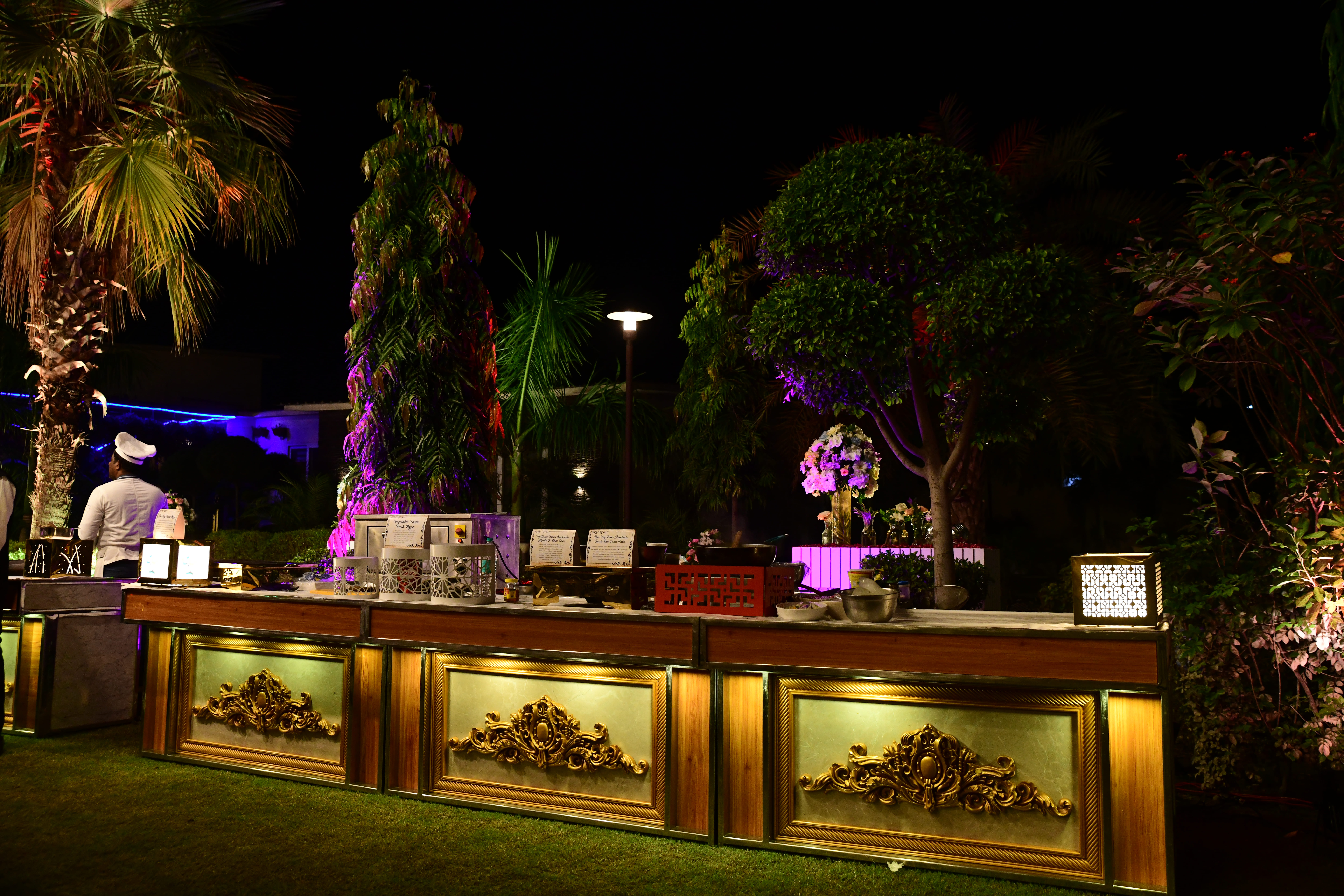 Refined outdoor event catering in Greater Noida
